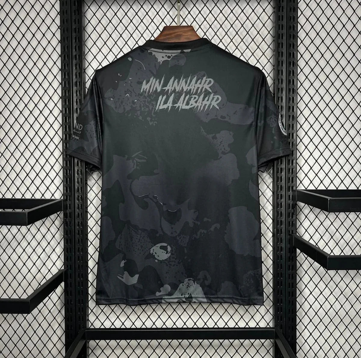 Palestine 2025 Concept